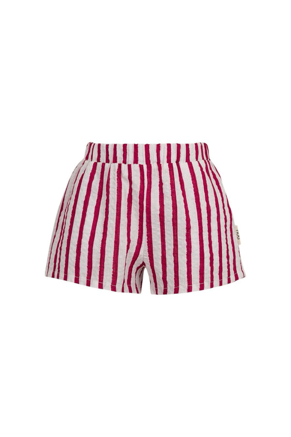 Short Cavalluccio