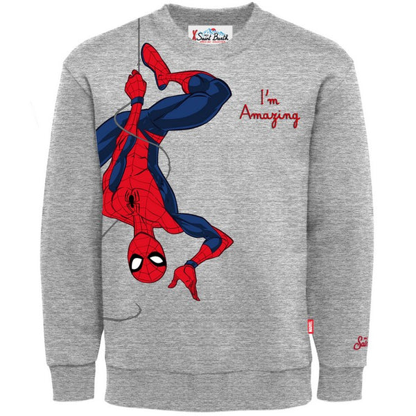 HUTTON N SPIDERMAN AMAZING HANG